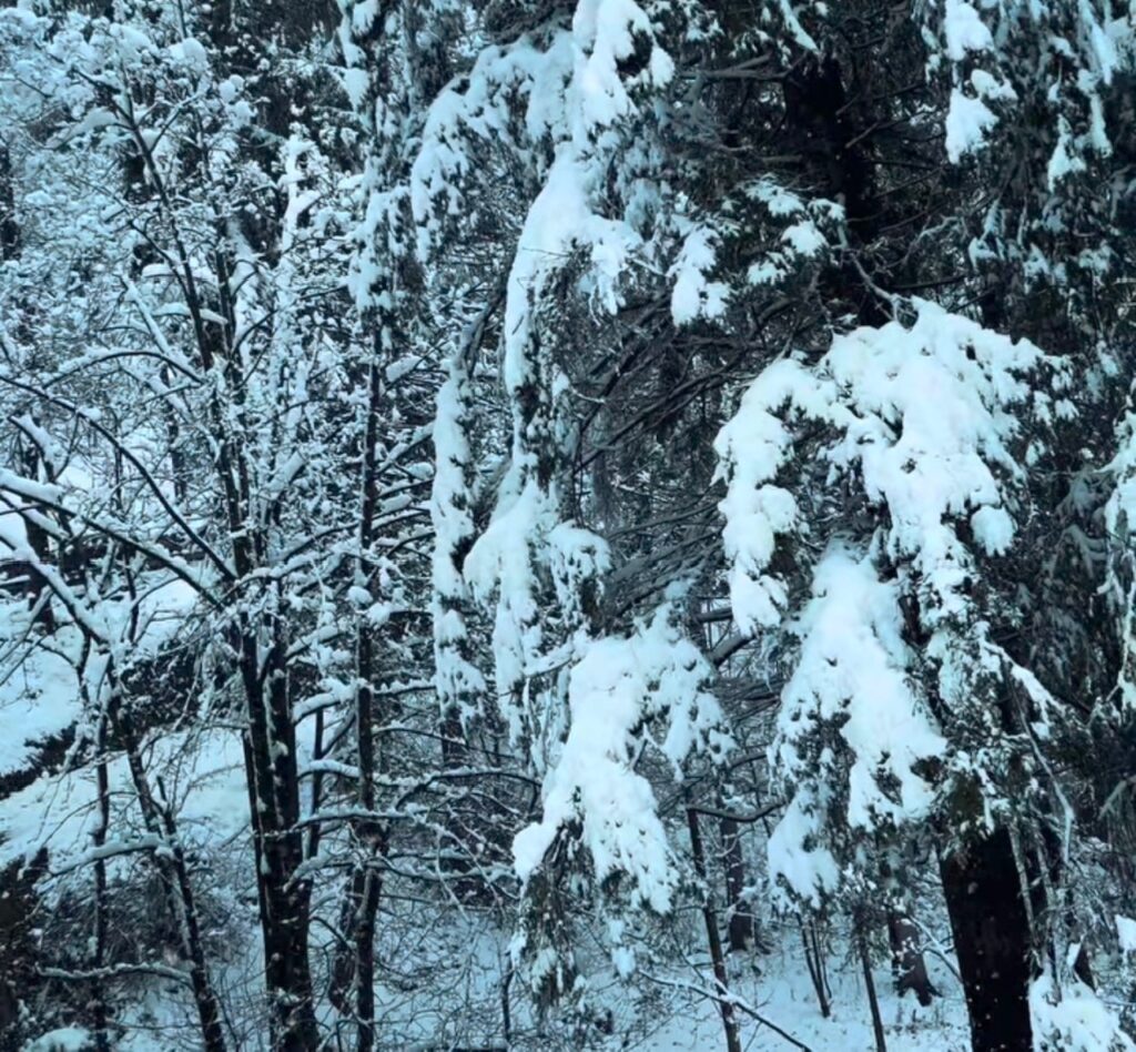 neve santuario oropa piemonte