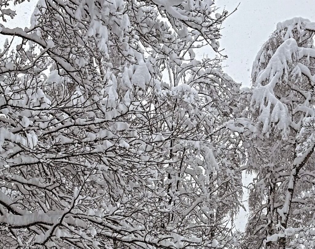 neve santuario oropa piemonte