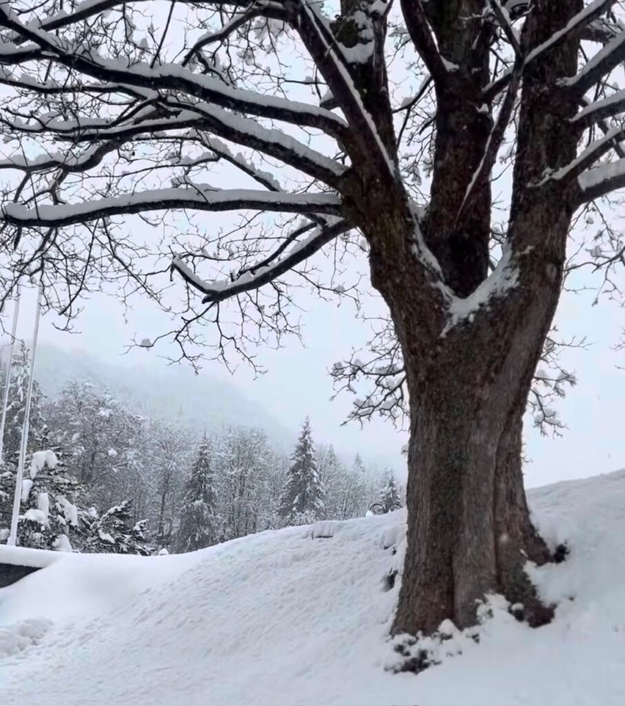 neve santuario oropa piemonte