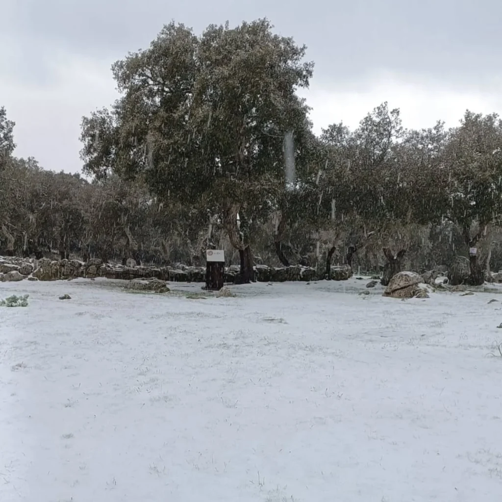 neve sardegna