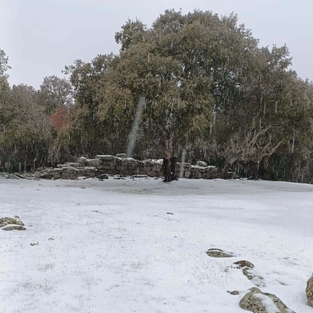 neve sardegna