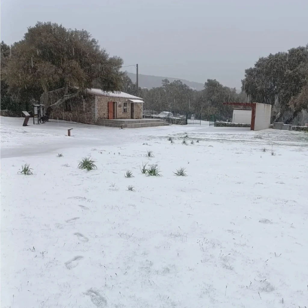 neve sardegna