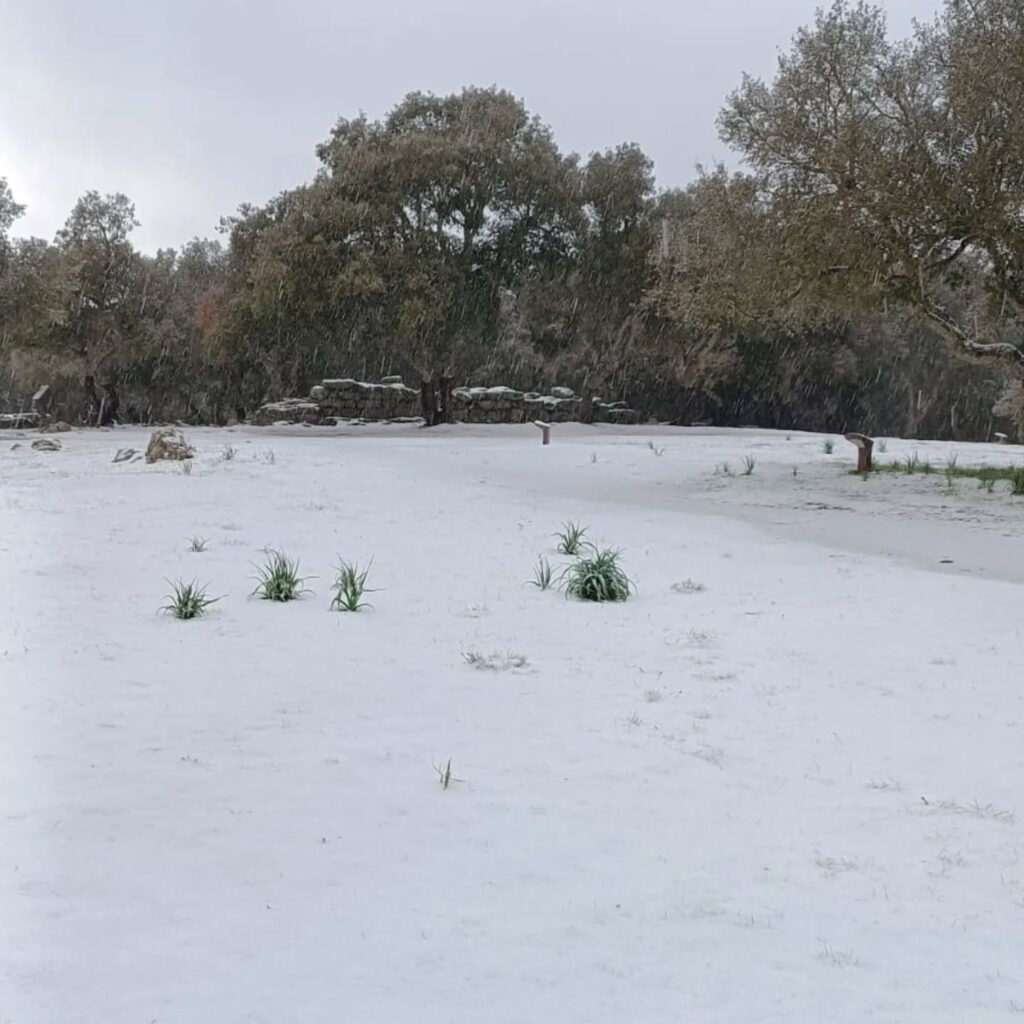 neve sardegna