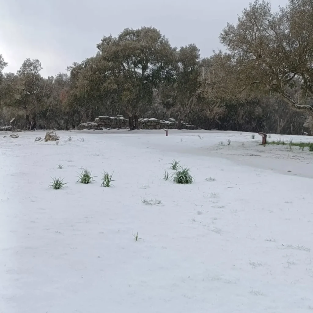neve sardegna