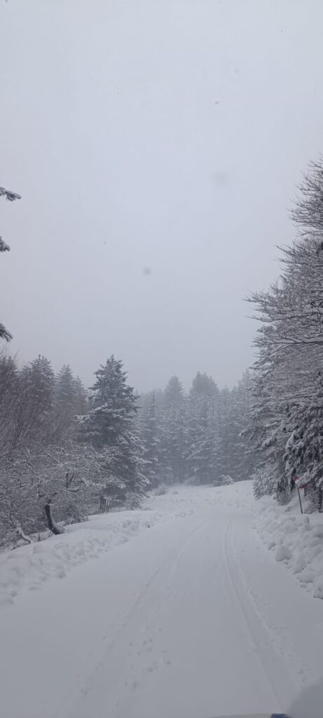 neve sila 19 marzo 2026