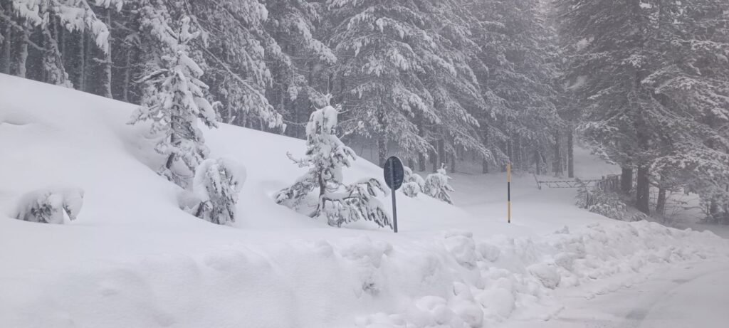 neve sila 19 marzo 2026