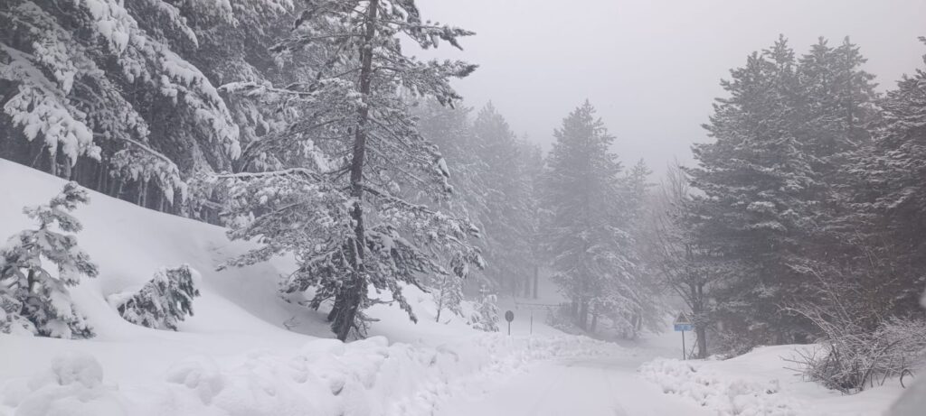 neve sila 19 marzo 2026