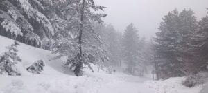 neve sila 19 marzo 2026