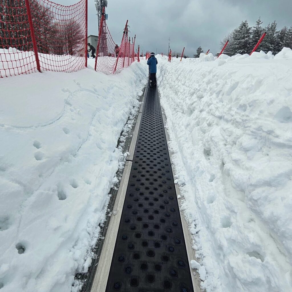 neve sila