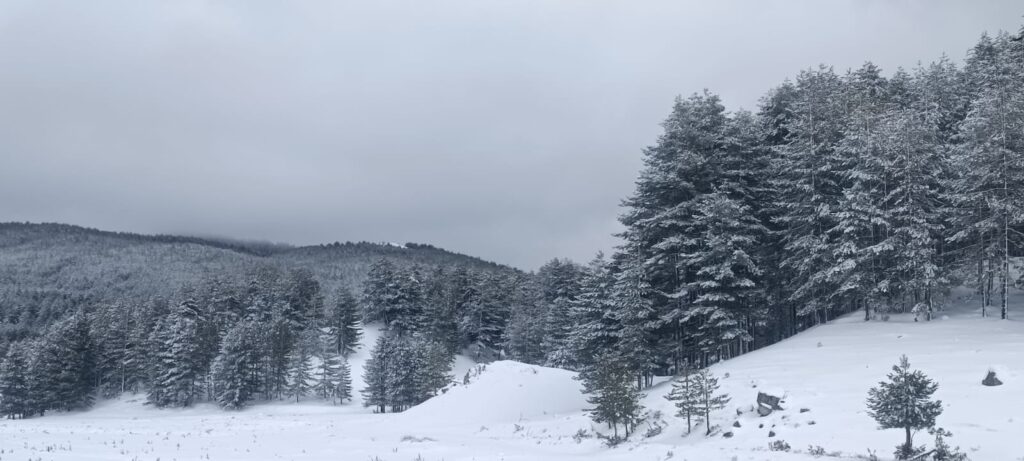 neve sila 27 marzo 2026