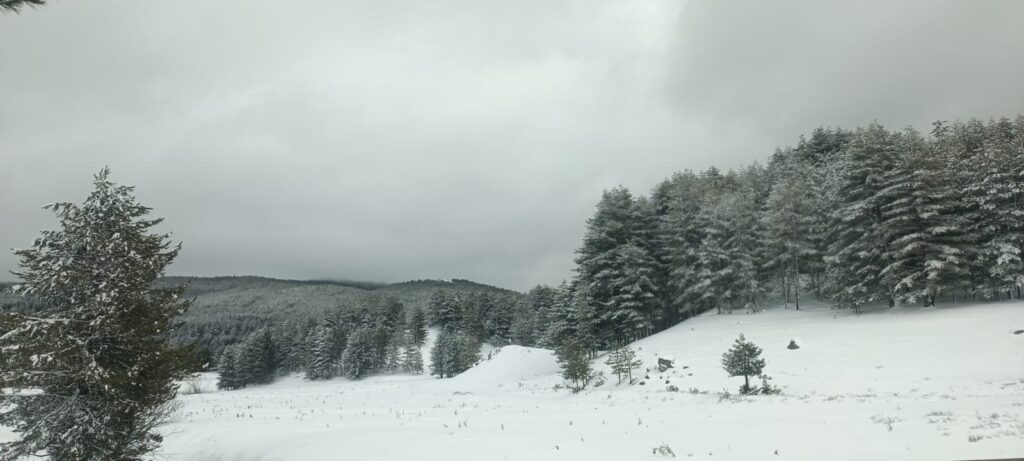 neve sila 27 marzo 2026