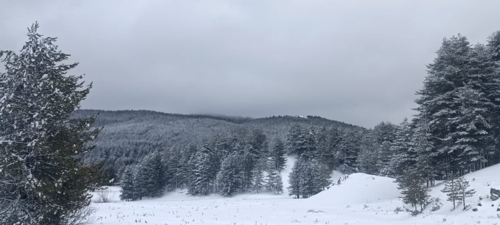 neve sila 27 marzo 2026