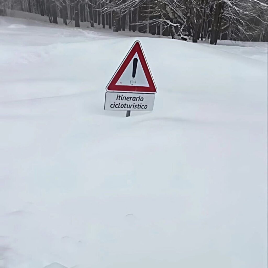 neve sila