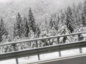 neve strada generica