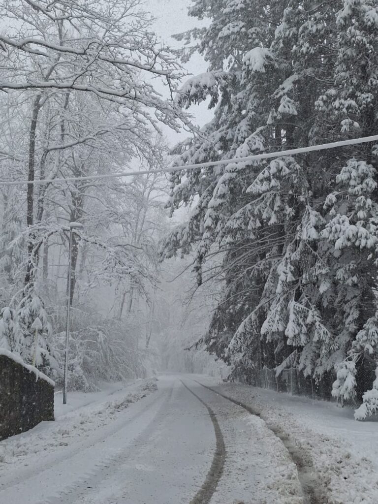neve toscana