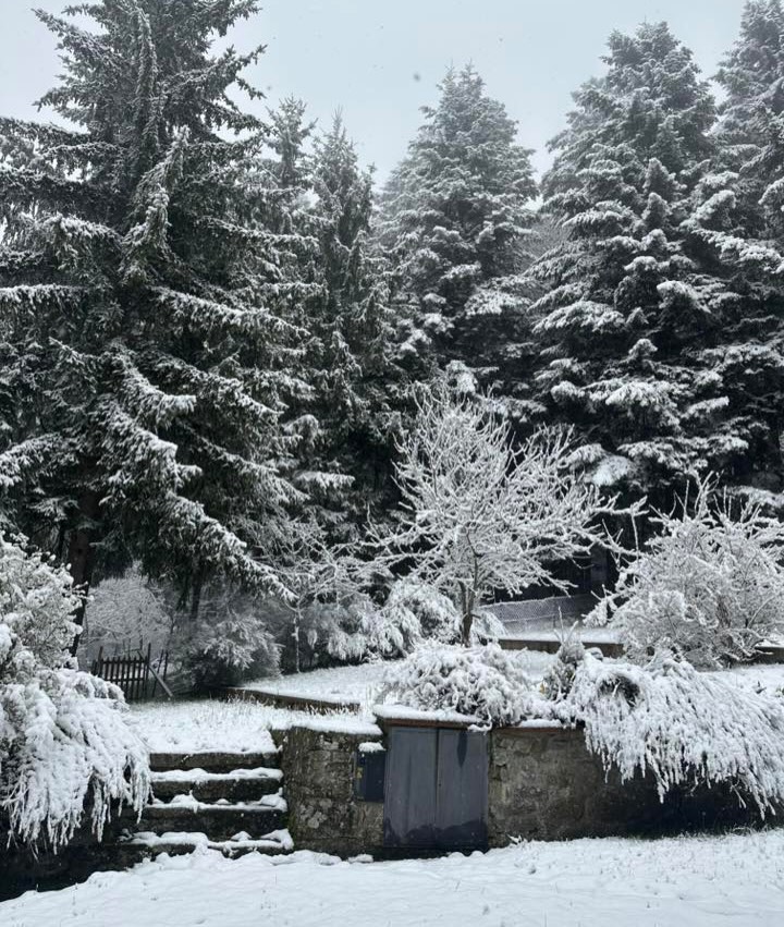 neve toscana