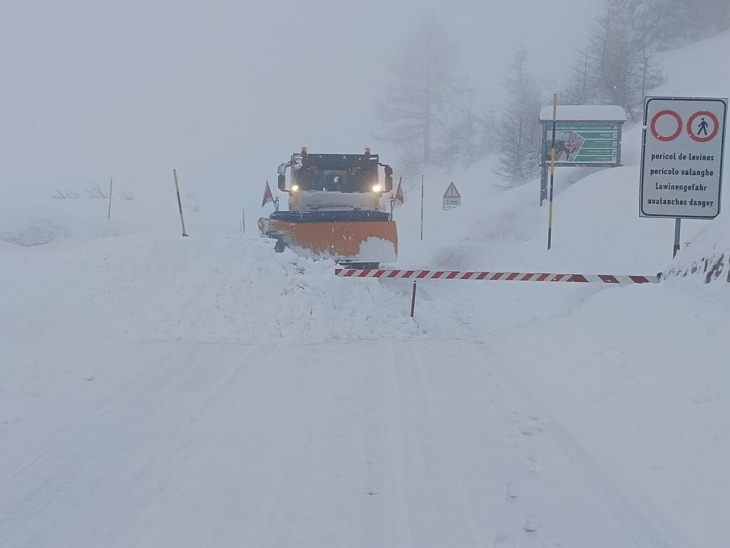 neve trentino