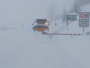 neve trentino