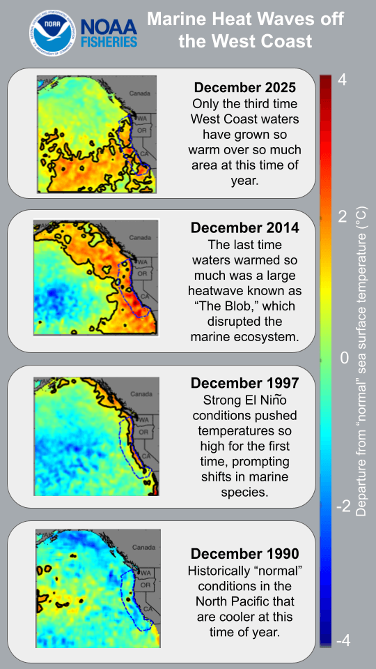 ondate calore marino costa occidentale USA