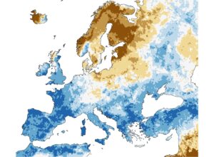 piogge gennaio febbraio 2026