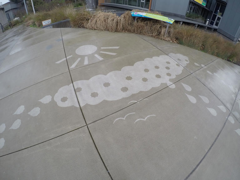 pioggia arte seattle