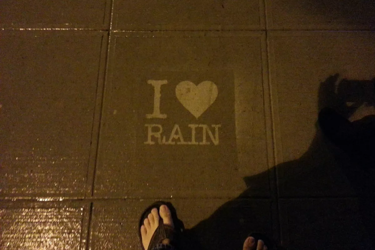 pioggia arte seattle