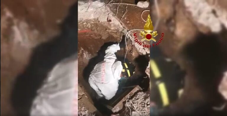 salvataggio teddy vigili fuoco