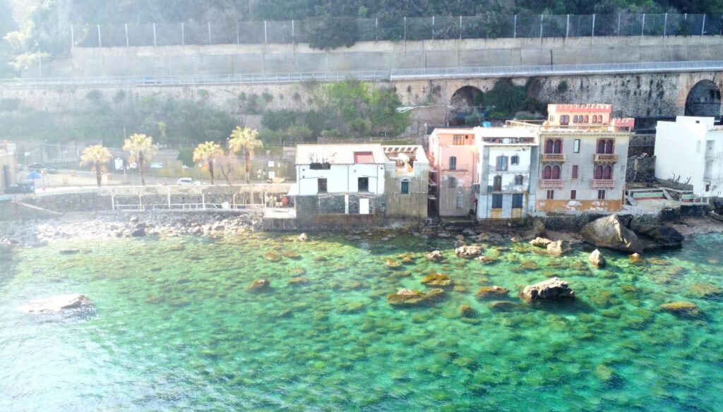 scilla