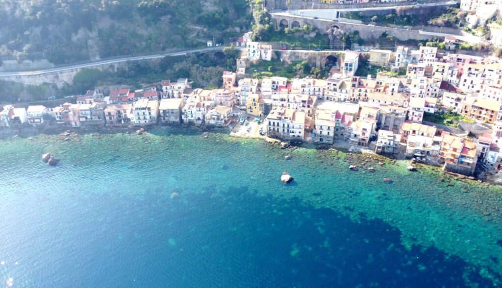 scilla