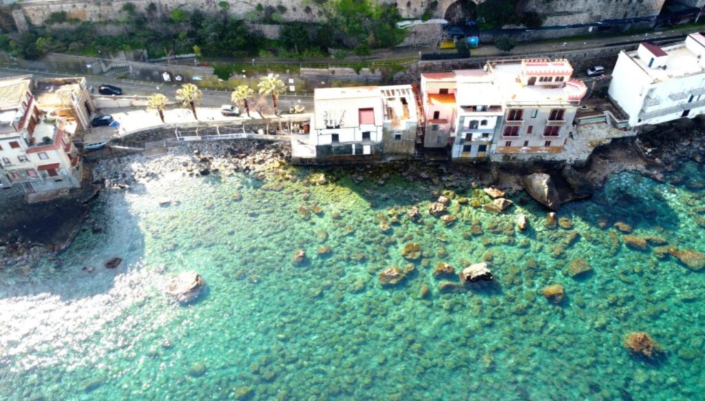 scilla