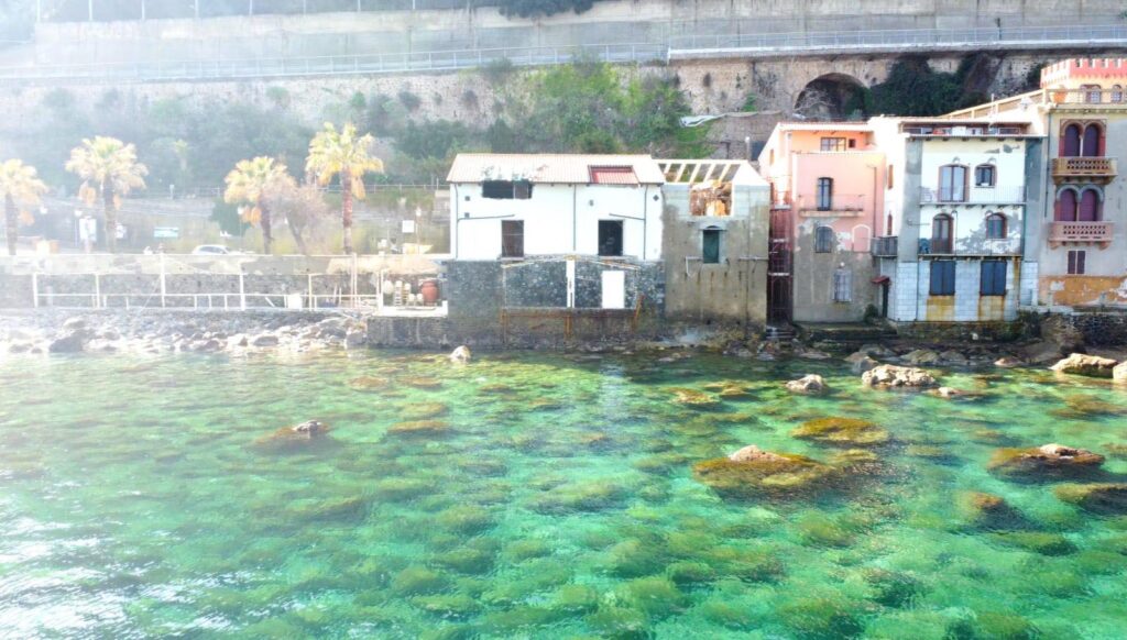 scilla