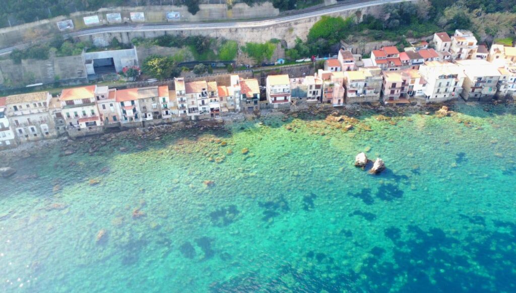 scilla