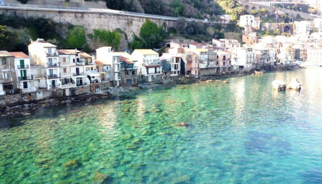 scilla