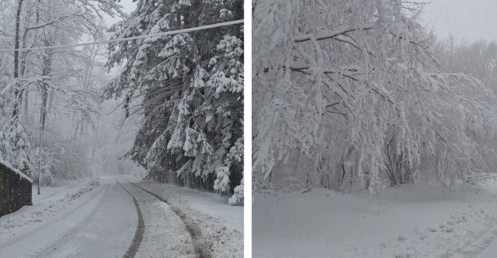neve toscana