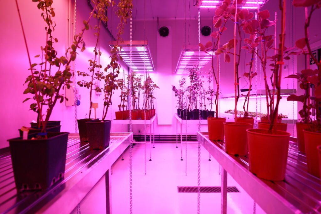 Agritech Università di Bologna