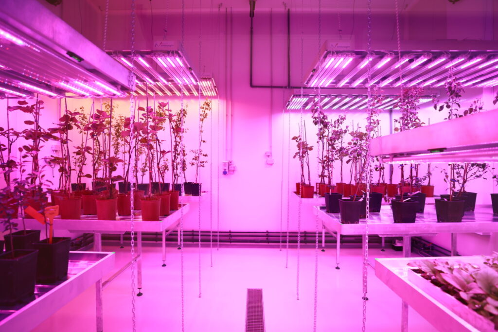 Agritech Università di Bologna