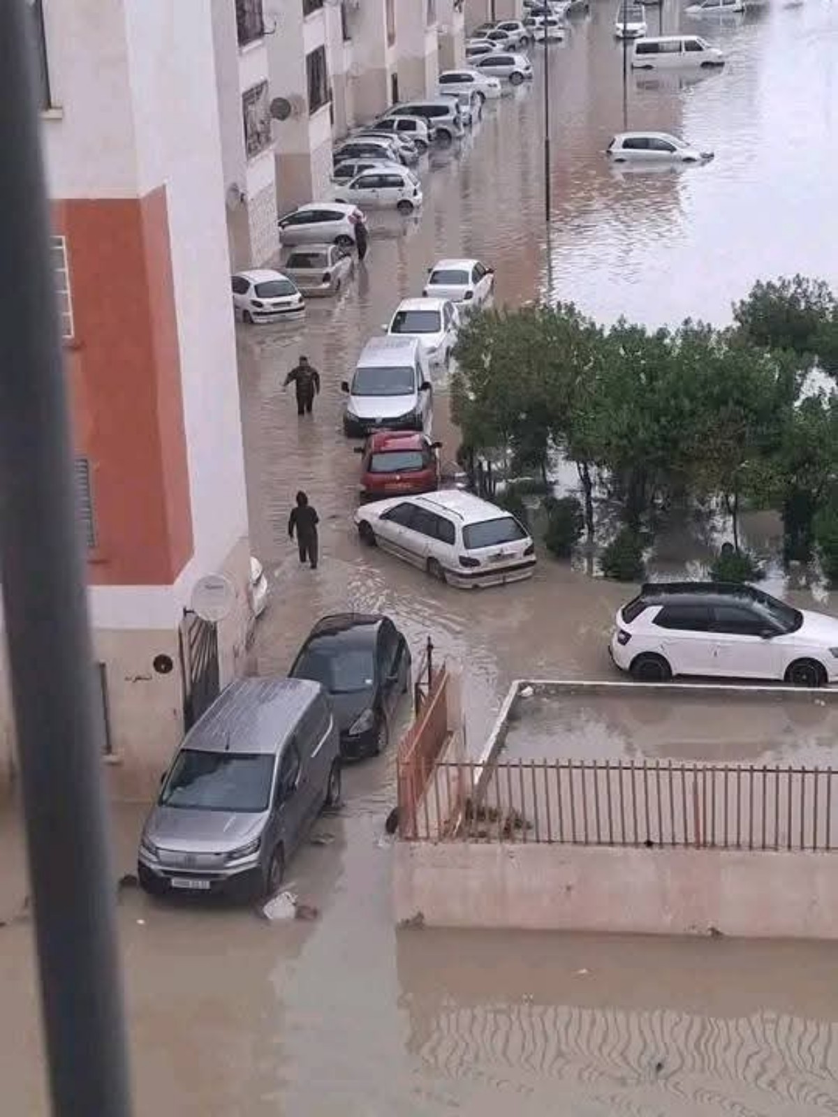 Alluvione Algeria 14 aprile