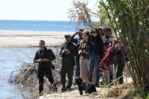 Birdwatching Corace