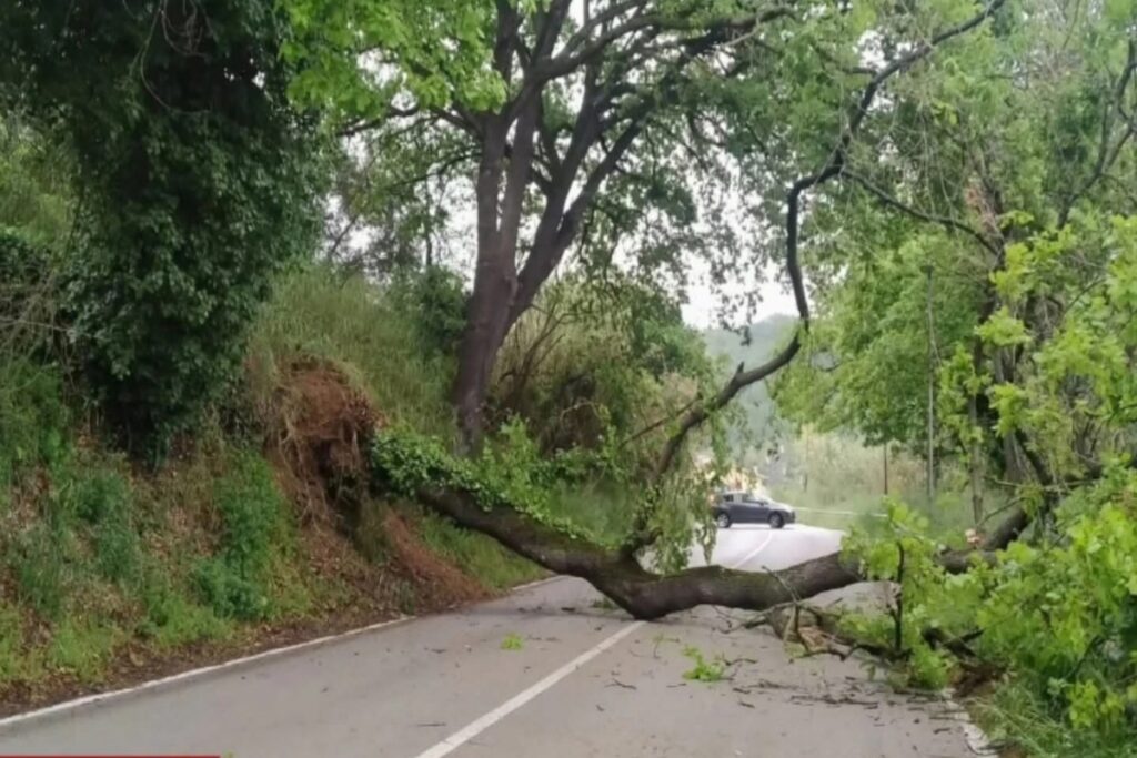 Frane Abruzzo San Vito Chietino