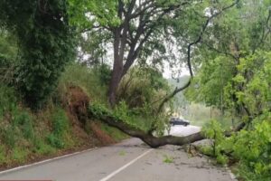 Frane Abruzzo San Vito Chietino