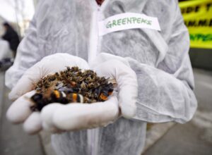 Greenpeace stop pesticidi