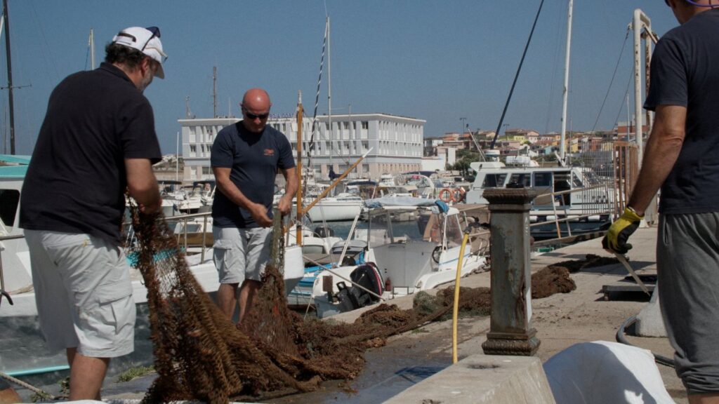 ISPRA Mediterraneo