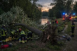 Incidente vigile del fuoco albero