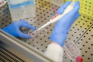 La luce come alleato contro le aritmie cardiache Bicocca