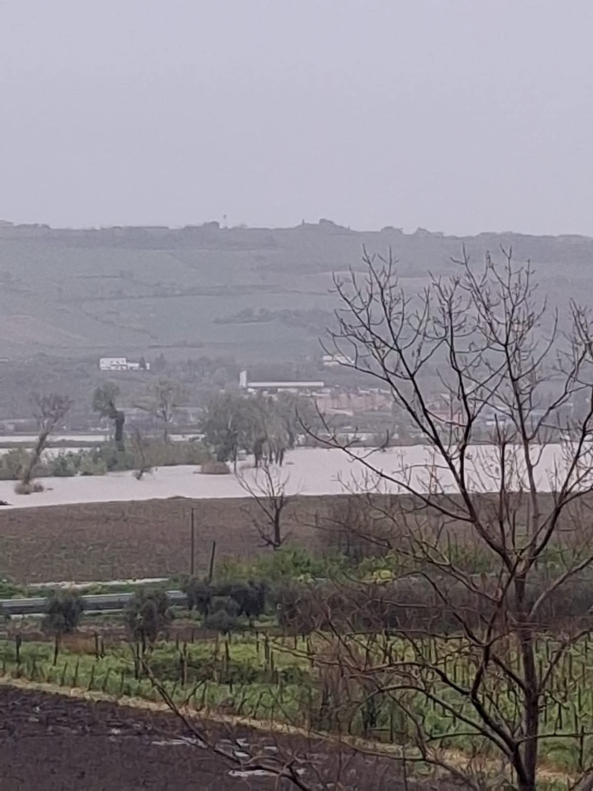 Maltempo Molise allagamenti 