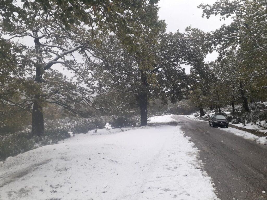 Neve Tunisia