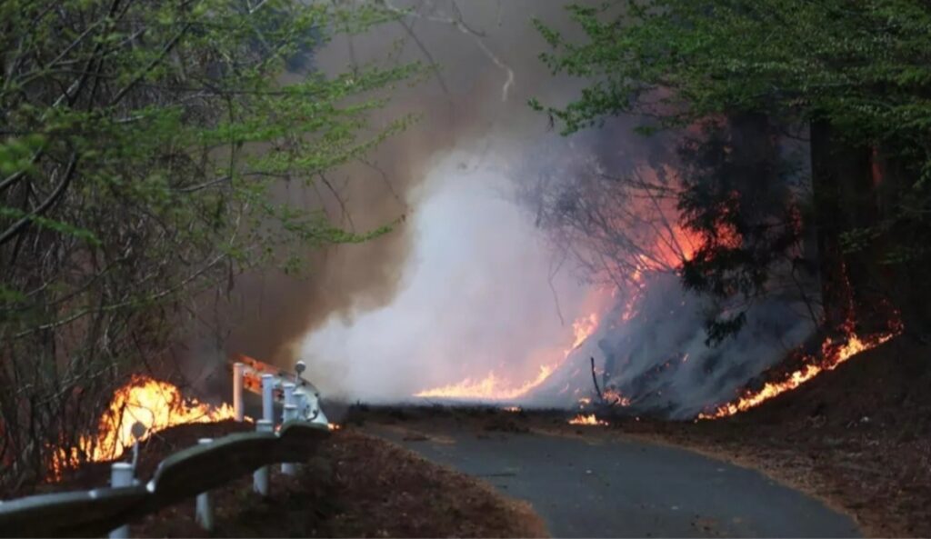 Otsuchi incendio iwate giappone