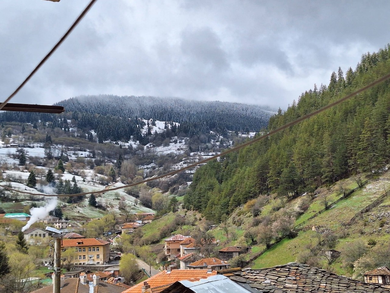 Primavera Rodopi 