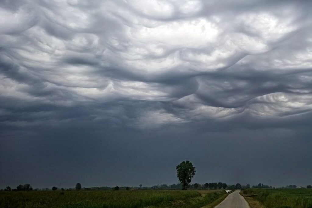 Undulatus asperatus Lombardia