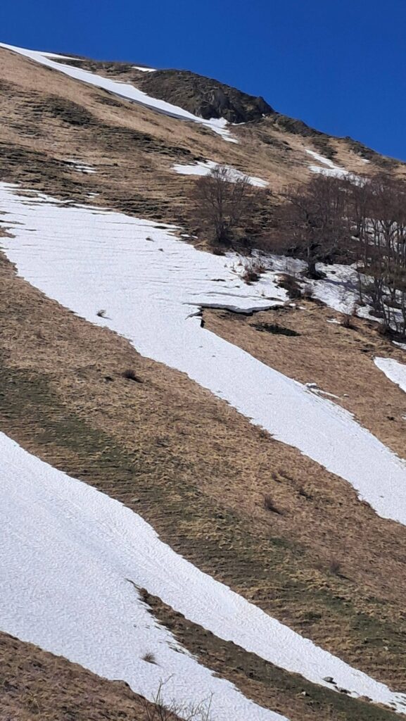 Valanga valle del Chiarino